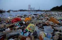 Штрафы за выброс мусора в лесу и на обочине могут вырасти в 8-10 раз
