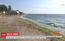 Купатися дозволено: фахівці відзвітували про нормалізацію стану води в Одесі (відео)