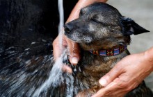 Сьогодні в Україні влупить пекельна спека до +37° (карта)