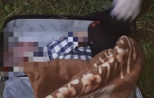 Поліція розшукує матір хлопчика, тіло якого знайшли у валізі в Чернівцях (фото)