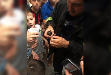 Каждый заслуживает помощи: на Львовщине спасатели освободили ласточку из ловушки под крышей дома (фото, видео)