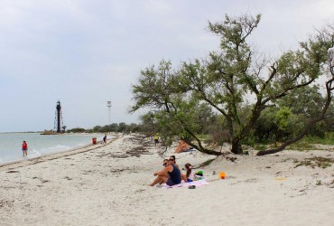 Эксперт о последствиях оккупации Джарылгача: мы можем потерять остров навсегда