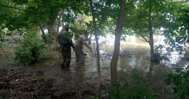 В твоих глазах я утопилась села на стул и приземлилась