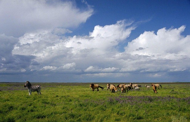 Уникальная природа и богатые гастрономические традиции: на Херсонщине проходит фестиваль туристической журналистики (фото)