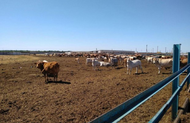 На Херсонщині запустили новий гастрономічний маршрут для туристів