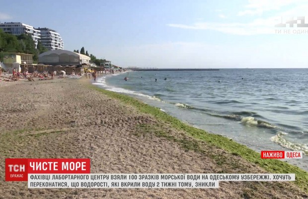 Купаться разрешено: специалисты отчитались о нормализации состояния воды в Одессе (видео)