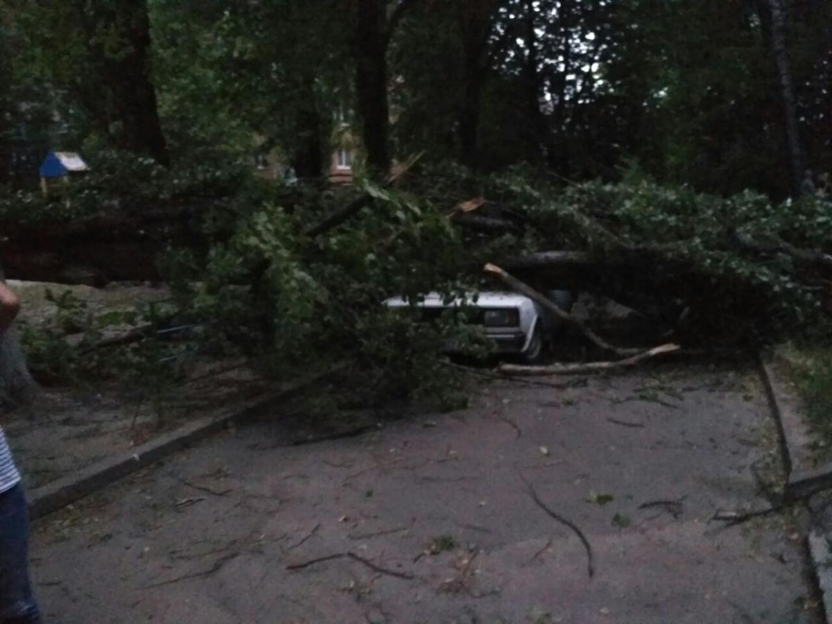 У кількох випадках дерева впали на припарковані під ними автомобілі / "Чернігів Оперативний" У кількох випадках дерева впали на припарковані під ними автомобілі / "Чернігів Оперативний"