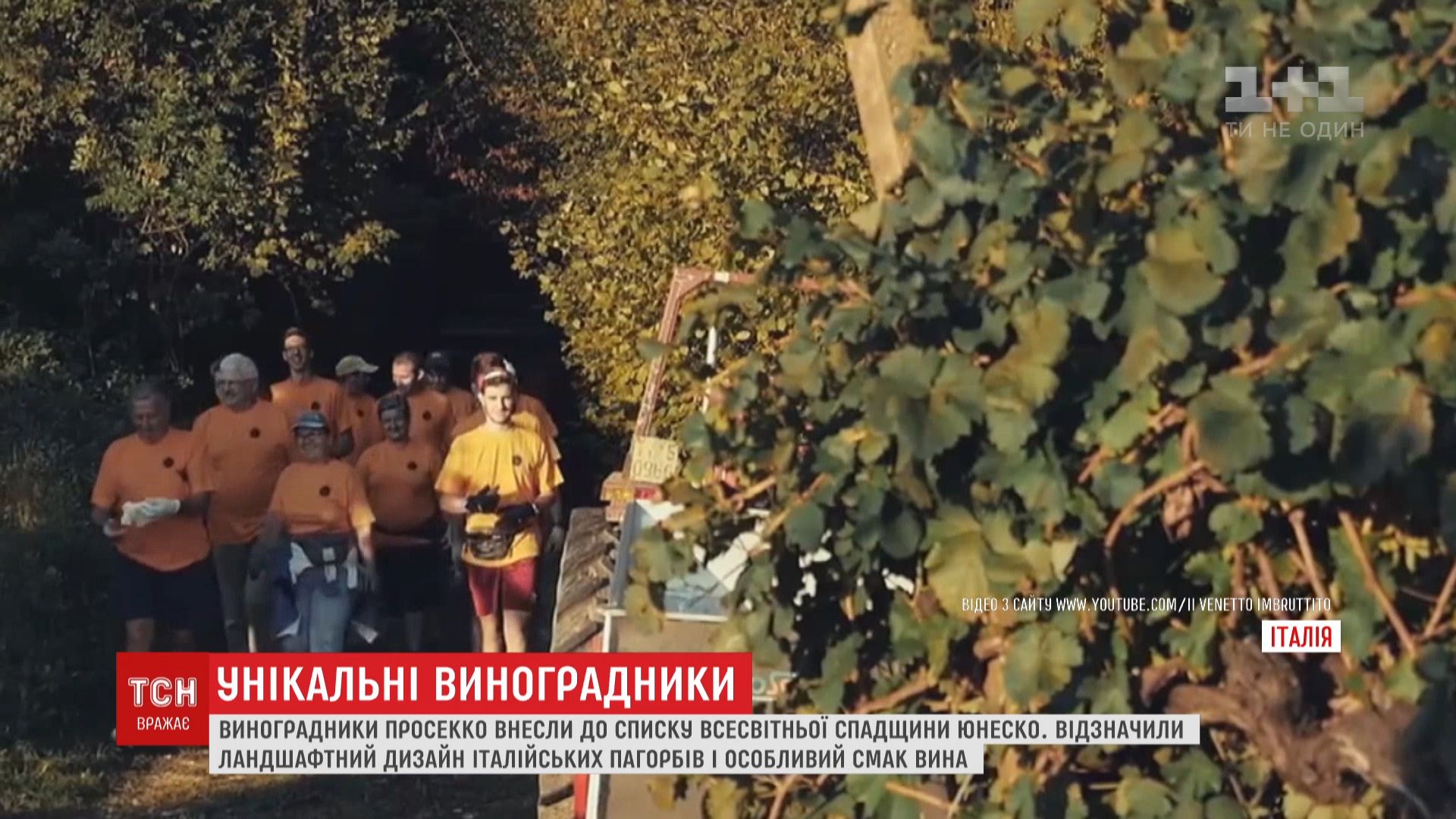 Вино просекко - одно из самых популярных в мире / скриншот Вино просекко - одно из самых популярных в мире / скриншот