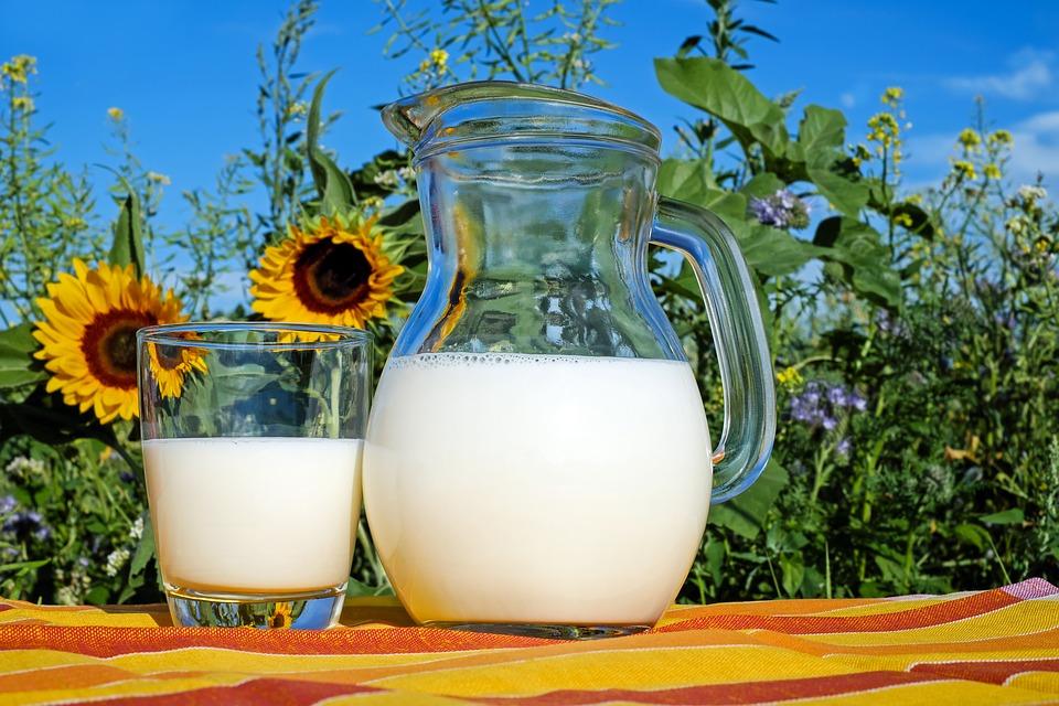 Диетолог рассказала, полезно ли есть молочные каши / фото pixabay.com