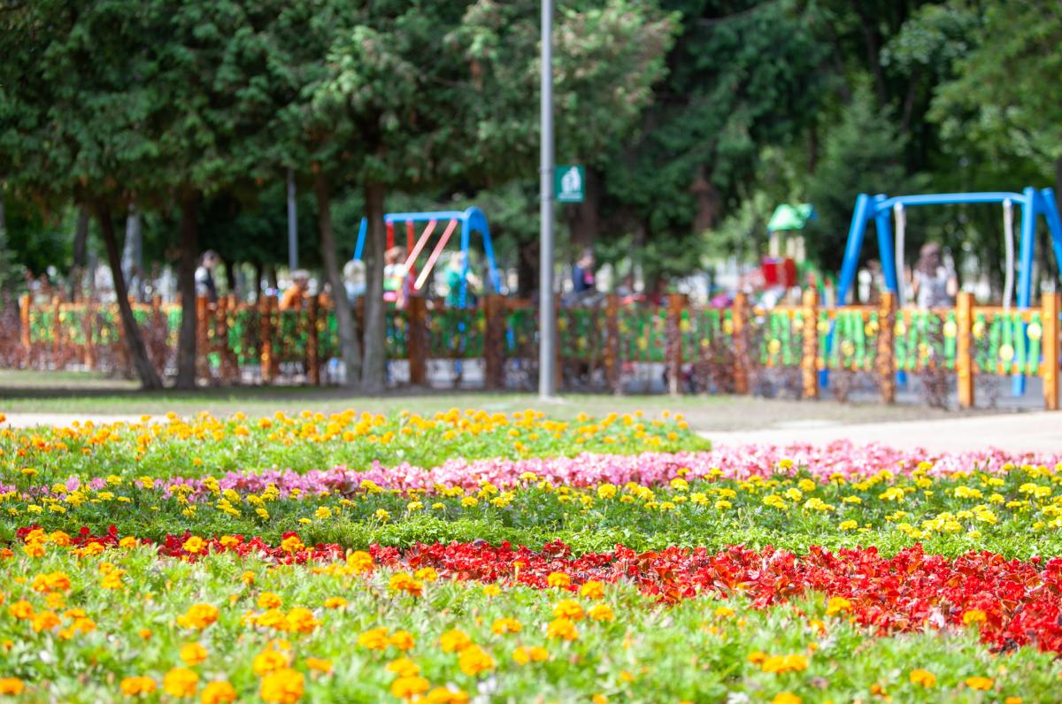 Обновленный парк «Радуга» открылся на Нивках / фото КГГА Обновленный парк «Радуга» открылся на Нивках / фото КГГА