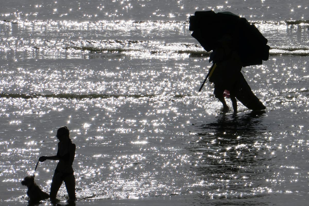 Жара во Франции / REUTERS