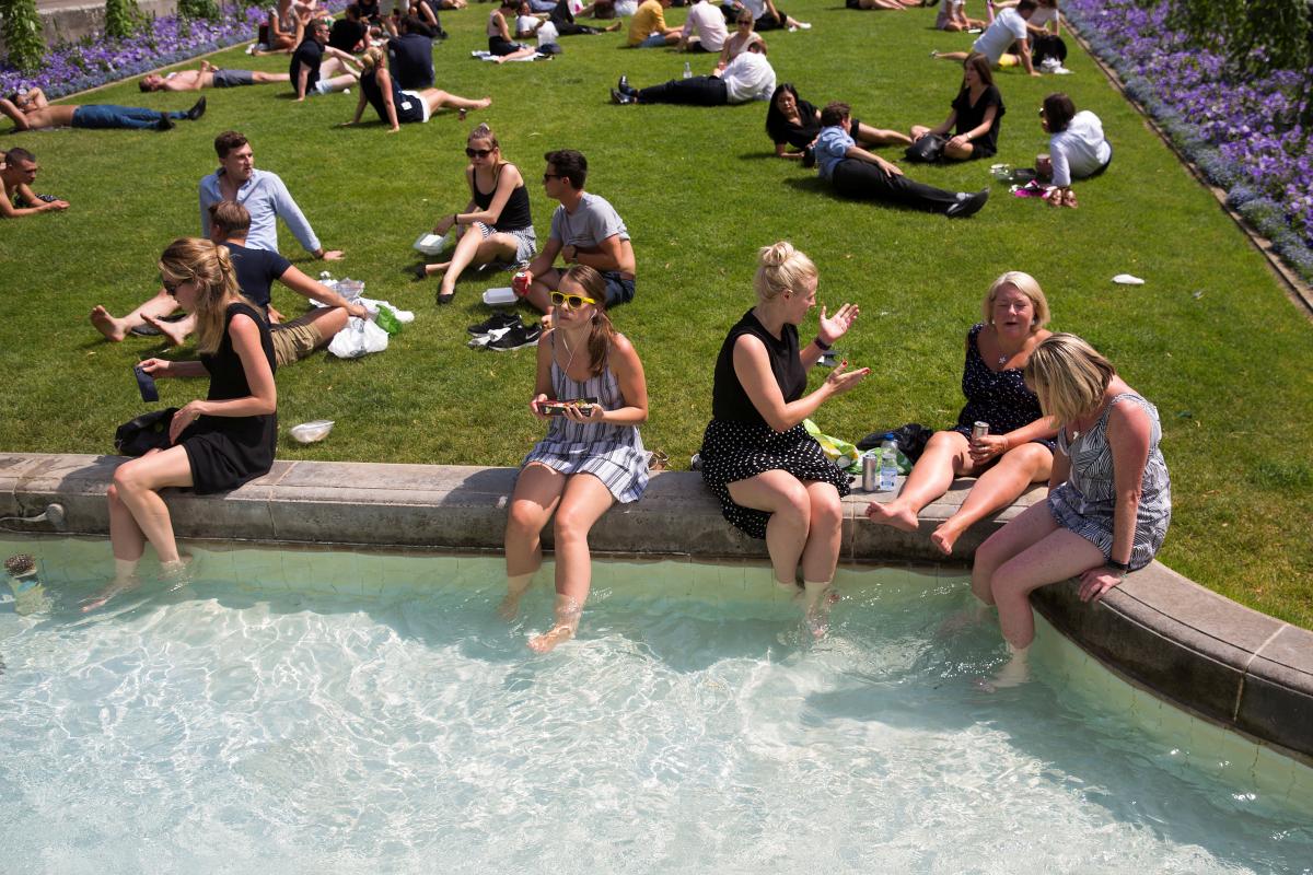 Это лето было самым жарким в истории / Фото REUTERS