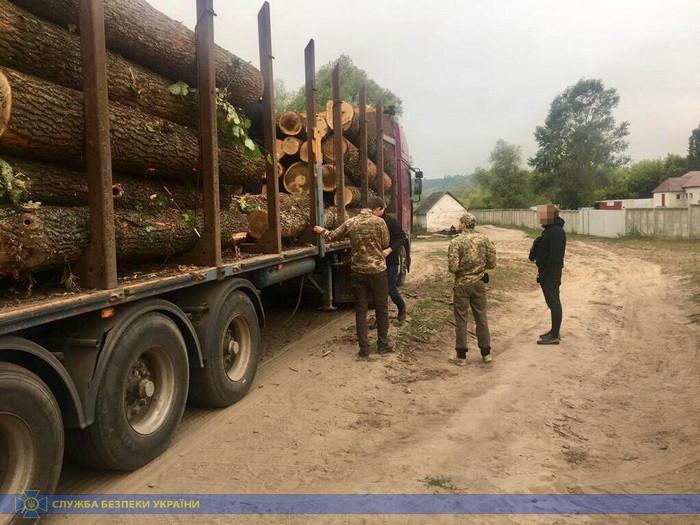 На Харьковщине правоохранители блокировали масштабные хищения древесины / фото facebook.com/SecurSerUkraine На Харьковщине правоохранители блокировали масштабные хищения древесины / фото facebook.com/SecurSerUkraine