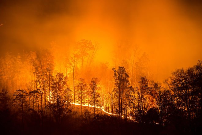 Убытки от лесных пожаров в России составили почти 2,5 миллиарда рублей / фото twitter.com/shadowerufu