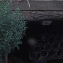 На Донбассе бойцы ВСУ находят доказательства присутствия российской армии (видео)