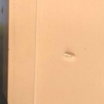 В ГПСУ рассказали, как часто оккупанты обстреливают пункты пропуска на Донбассе