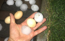 На Ривненщине выпал град размером с куриное яйцо (фото, видео)