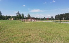 В парке "Беремицкое" после контакта с посетителями умер детеныш муфлона