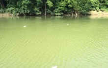 Пожар на складе Jim Beam в США: в реках начался массовый мор рыбы из-за попадания виски в воду