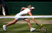 Удары Свитолиной и Козловой вошли в подборку лучших по итогам 2019 года (видео)