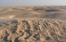 Пустыня Сахара была морем, в котором жили самые большие в мире существа