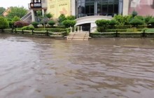 В Черновцах сильный ливень затопил десятки улиц (видео)