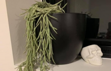 Парень хотел сделать приятное любимой, а она подняла его на смех (фото)