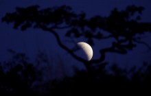 Молодик 17 вересня: чим він особливий та як вплине на знаки Зодіаку