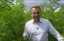 "Многие политики употребляют...": Садовый записал ролик на фоне плантации конопли под музыку регги (видео)