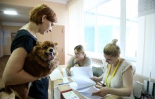 По данным из 196 округов, явка на выборах в Раду составляет 36,59% - ЦИК