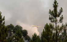 В центральной Португалии бушуют лесные пожары, пострадали 20 человек (фото)