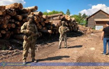 На Закарпатті СБУ блокувала незаконну заготівлю та реалізацію деревини посадовцями лісництва (фото, відео)