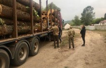 Борьба с вырубкой леса: в Харьковской области СБУ задержала шесть грузовых автомобилей с древесиной (фото)