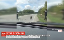 В Харькове копы ловили двух обезьян, сбежавших из экопарка (видео)