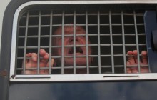 Протест за честные выборы в РФ: в Москве силовики задержали уже более 300 человек (фото, видео)