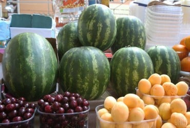 Херсонскую область засадили арбузами: когда ждать первого урожая