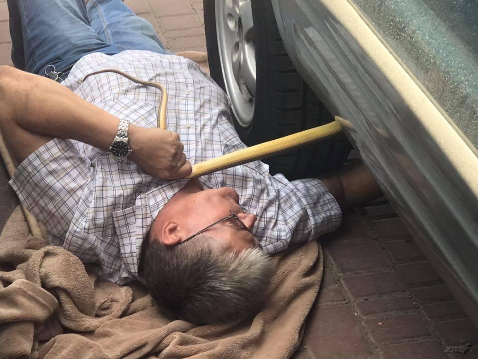 В Одесі червонокнижна змія заповзла в автомобіль / фото Людмила Денисенко В Одесі червонокнижна змія заповзла в автомобіль / фото Людмила Денисенко