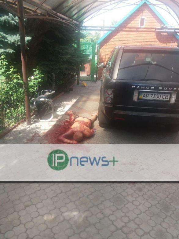 Фото: IPnews+ Фото: IPnews+