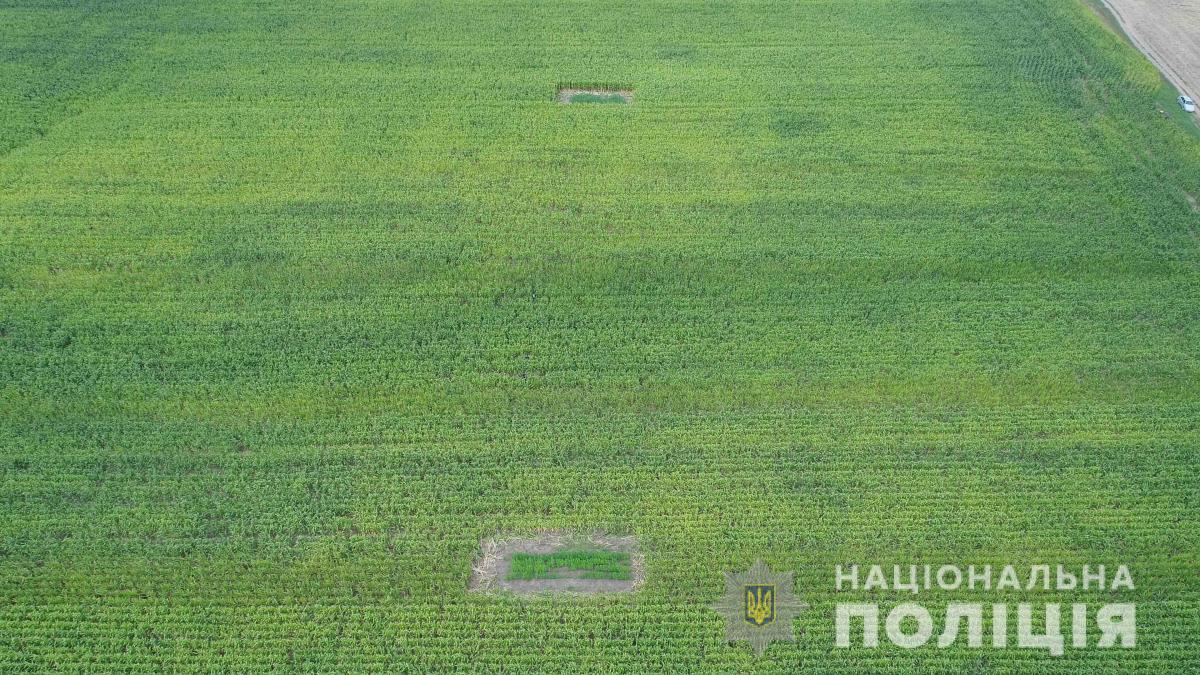Поліцейські залучили прилади аеророзвідки для обстеження території / фото: прес-служба поліції Поліцейські залучили прилади аеророзвідки для обстеження території / фото: прес-служба поліції