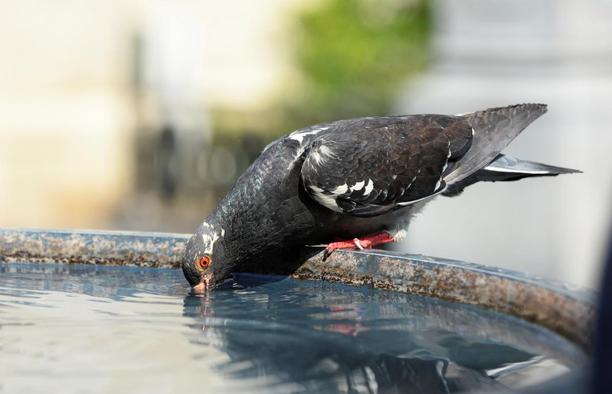 22 авгута на западе и севере Украины станет свежее / фото REUTERS