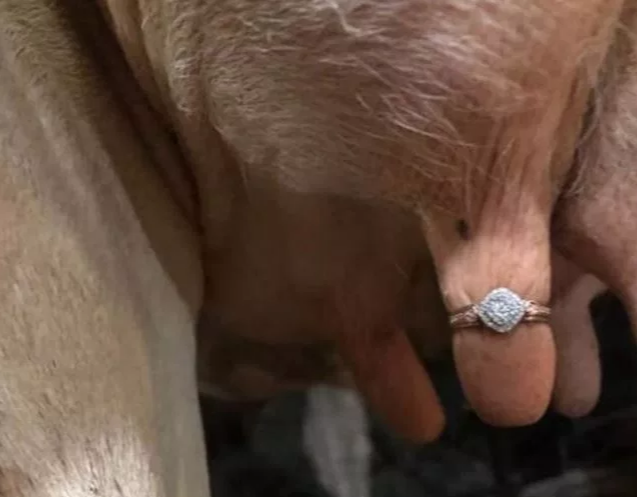 Что ответила девушка, не уточняется / Facebook/That’s It, I’m Ring Shaming