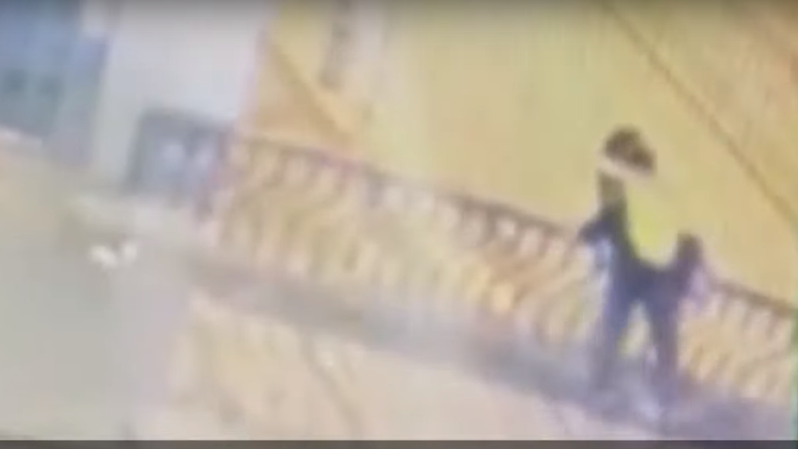 Пара упала с 15-метрового моста / скриншот Пара упала с 15-метрового моста / скриншот