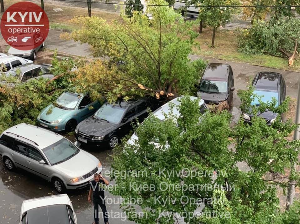 Сильний вітер у Києві повалив дерева / фото Київ Оперативний Сильний вітер у Києві повалив дерева / фото Київ Оперативний