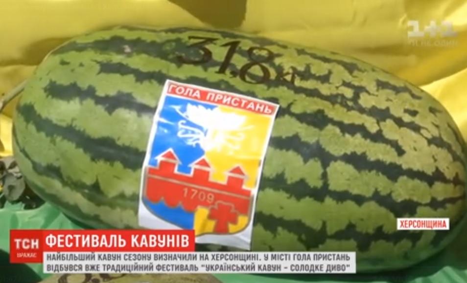 В Голой Пристани прошел фестиваль арбузов / Скриншот, ТСН В Голой Пристани прошел фестиваль арбузов / Скриншот, ТСН