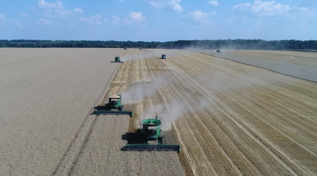 'Укрлендфармінг' зібрав втричі кращий за якістю врожай озимої пшениці, ніж минулого року