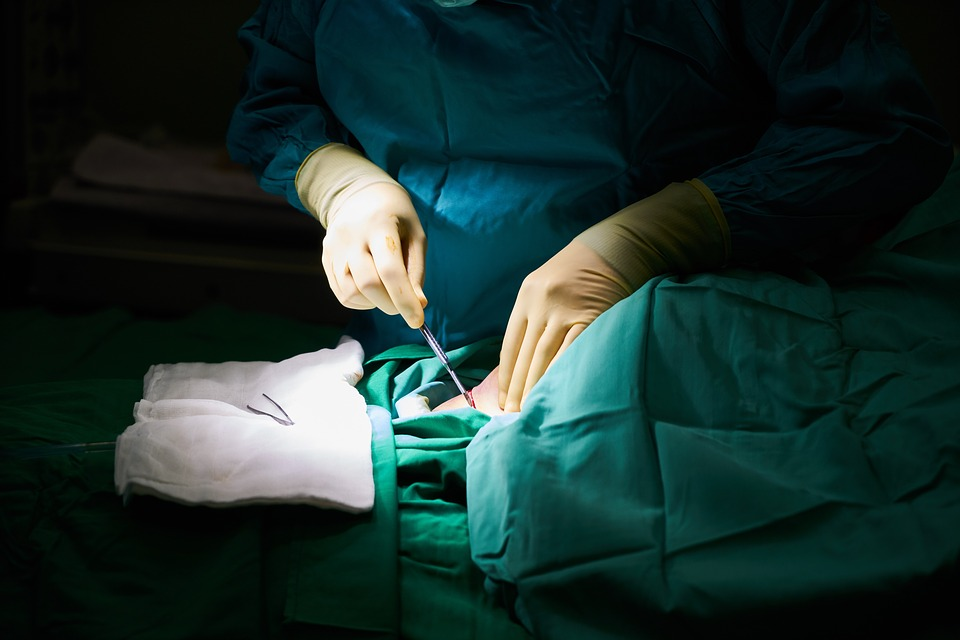 В Украине от трупного донора трансплантацию органов не проводят / фото pixabay.com