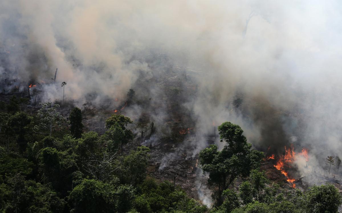 Густые леса Амазонии страдают из-за сильных лесных пожаров / REUTERS