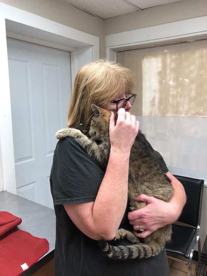Фото: Dutchess County SPCA Фото: Dutchess County SPCA