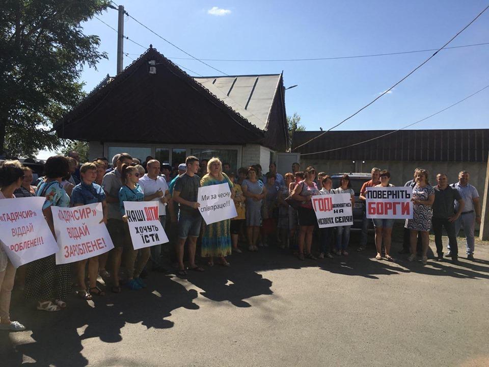 Жителі відразу трьох областей вимагають від 'Гадячсир' розрахуватися за борги по молоку Жителі відразу трьох областей вимагають від 'Гадячсир' розрахуватися за борги по молоку