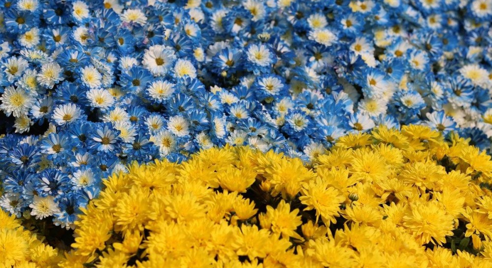 "Если бы она могла услышать":